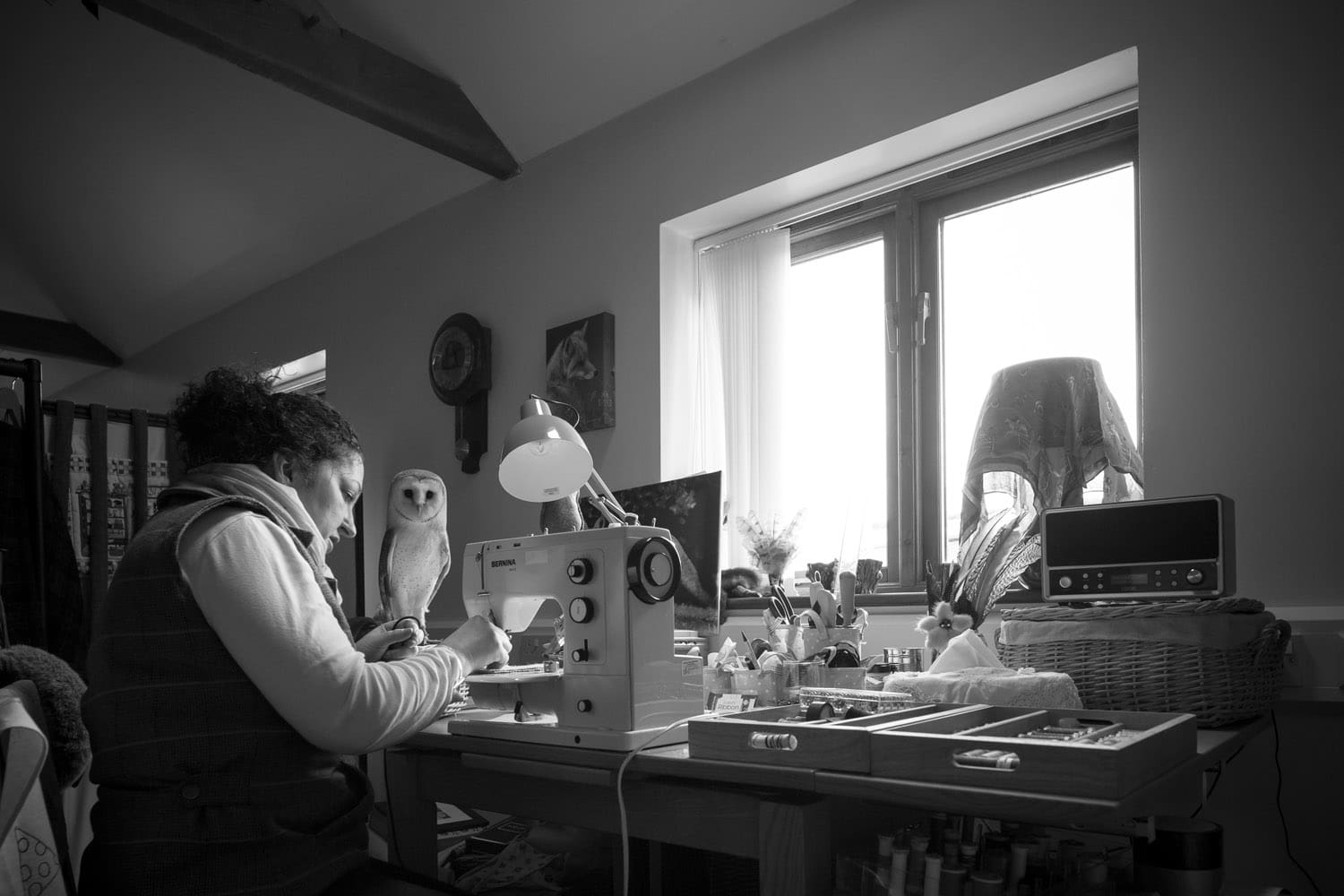 Pets and People Series: Gwen and Harriet the owl