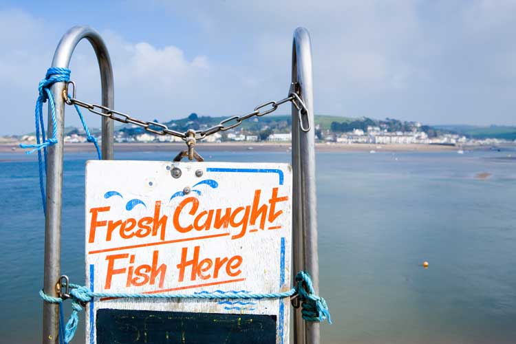An image of a sign saying Fresh Fish Caught Here by the sea in Appledore, UK.